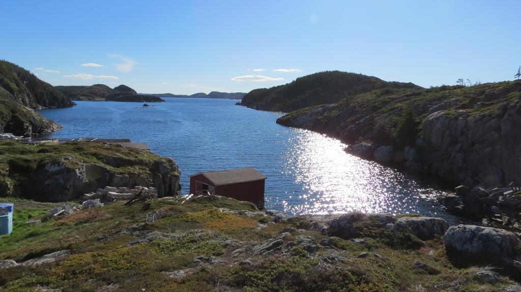 The Old Salt Box Co. - Daisy'S Place Herring Neck Luaran gambar
